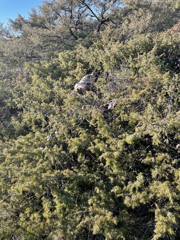 D84E9304-81BA-42B8-8003-C2D0E80A0D2E