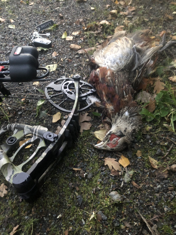 4CBE296C-FBCF-4250-8609-FBD87DA91674