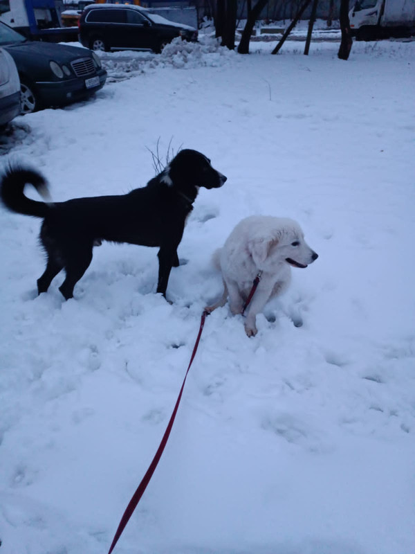 B349B2B2-BB66-45A4-9453-BB8D552168A7