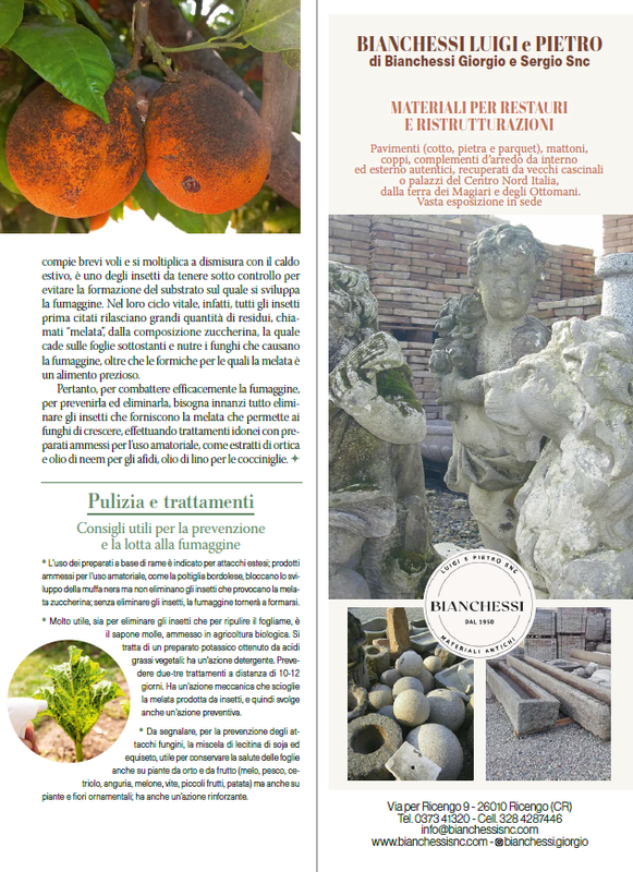 il mio Giar Ott Nov 2026 (6)