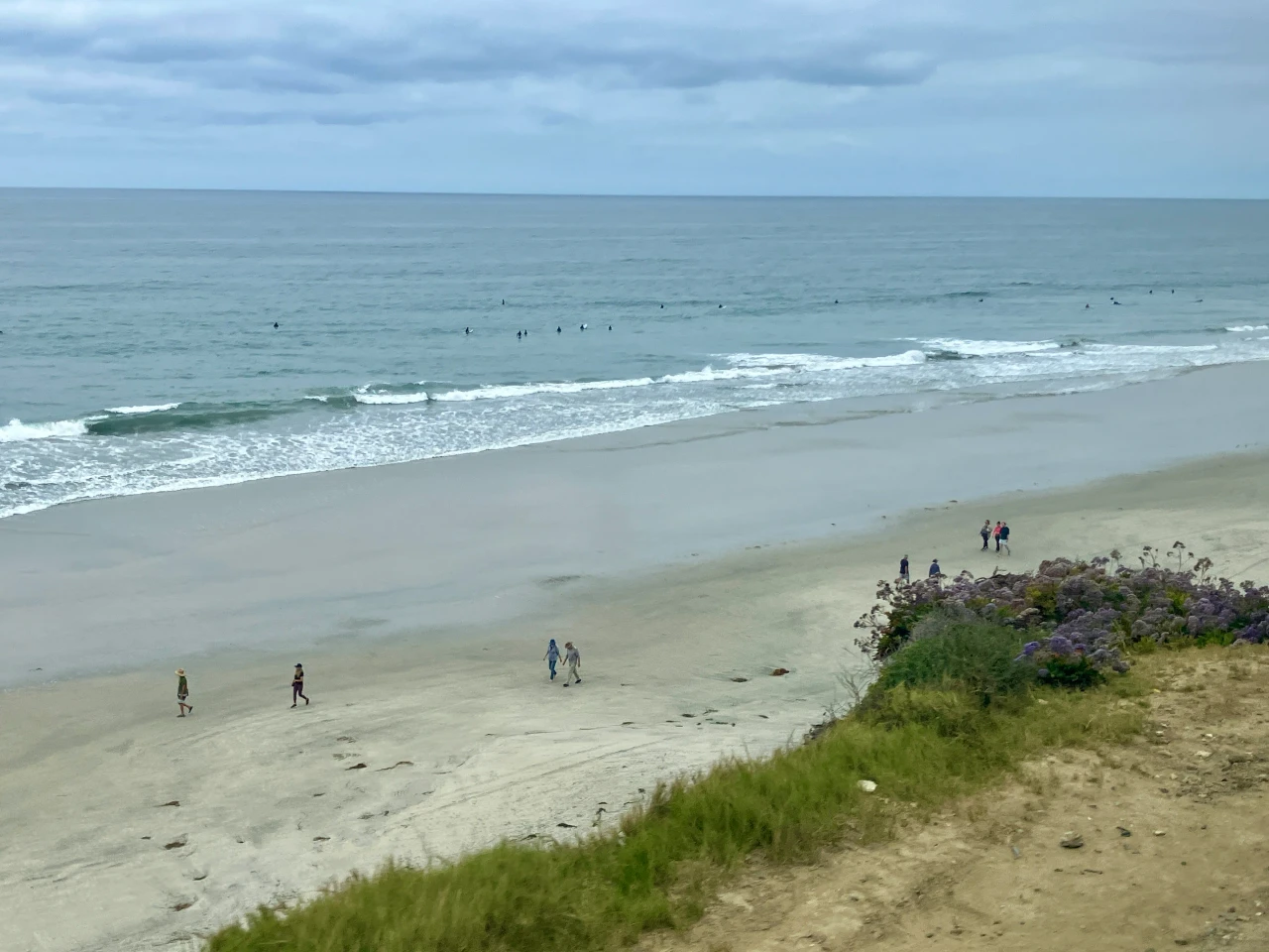 Pacific coastline view from the Coaster