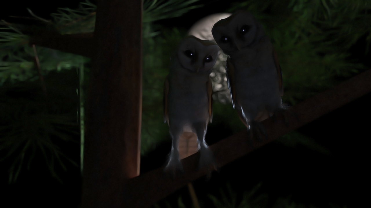 Owl You Need is Love