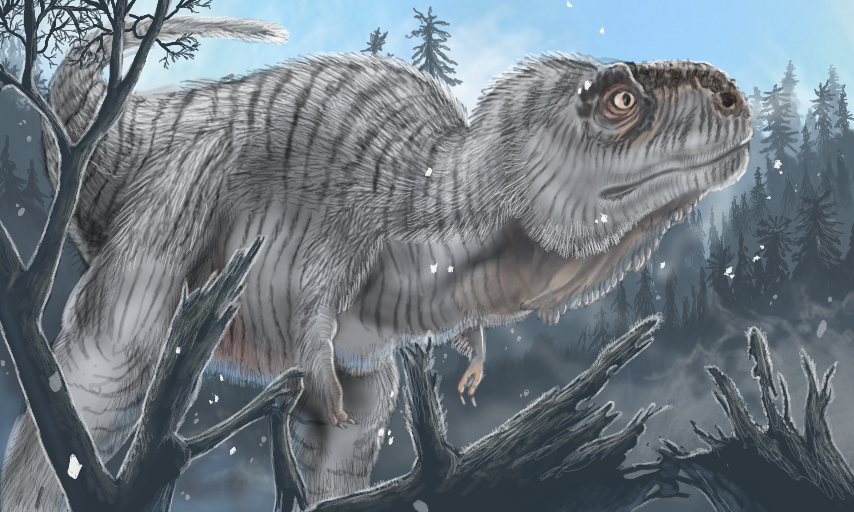 3267027-UK4R9ny3DeRyXwdF