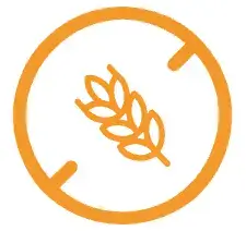 Sin gluten