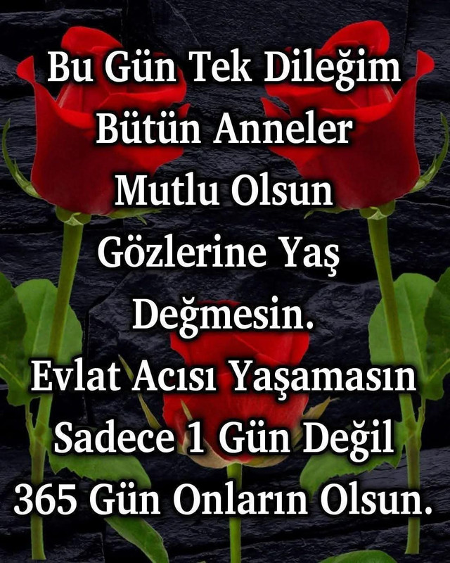 FB IMG 1778414137116