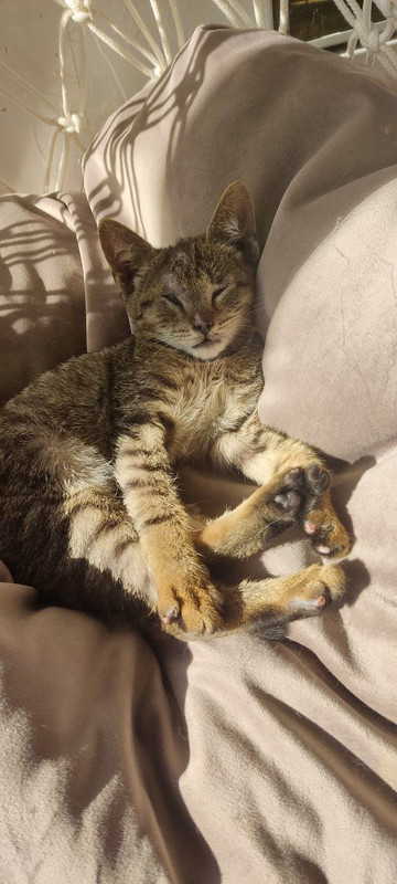 905DD984-B0CC-4195-987D-D1F8337BCEC9