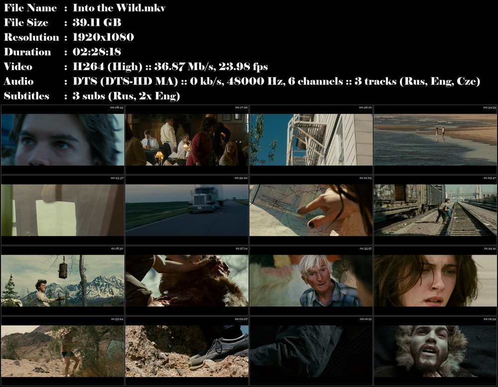 Re: Útěk do divočiny / Into the Wild (2007)