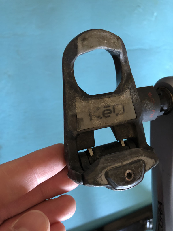 85610EC3-6EDB-442C-AEE1-C626818F5A9E