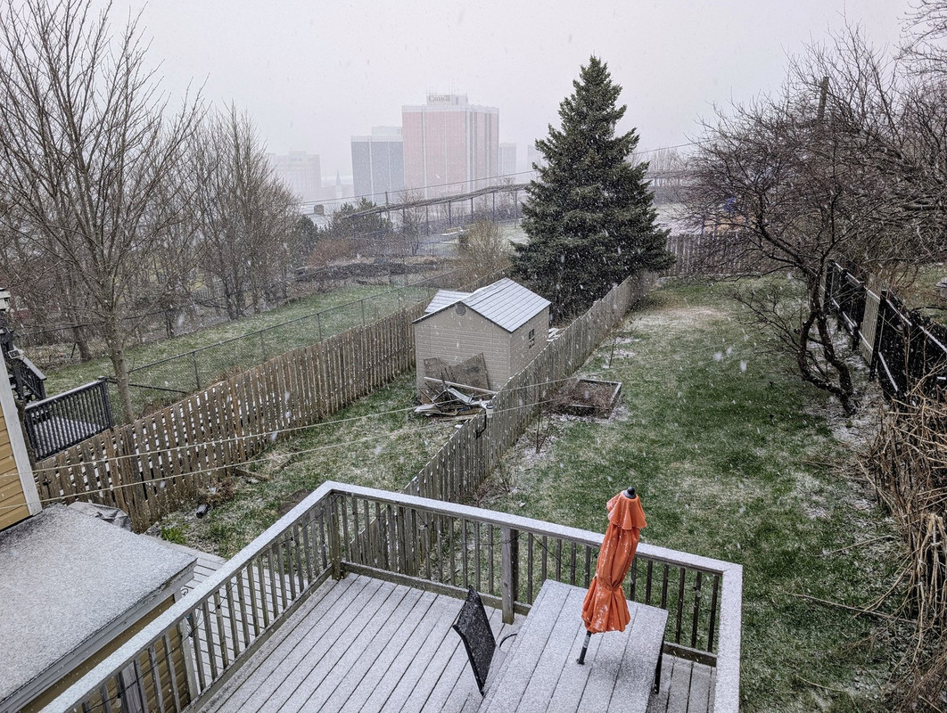 PXL_20250424_104337289.MP~2