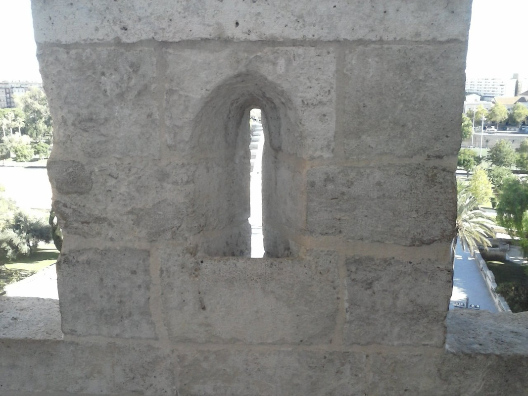 CAM00343
