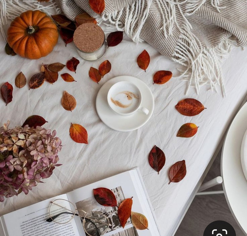 Screenshot_20231015_200059_Pinterest