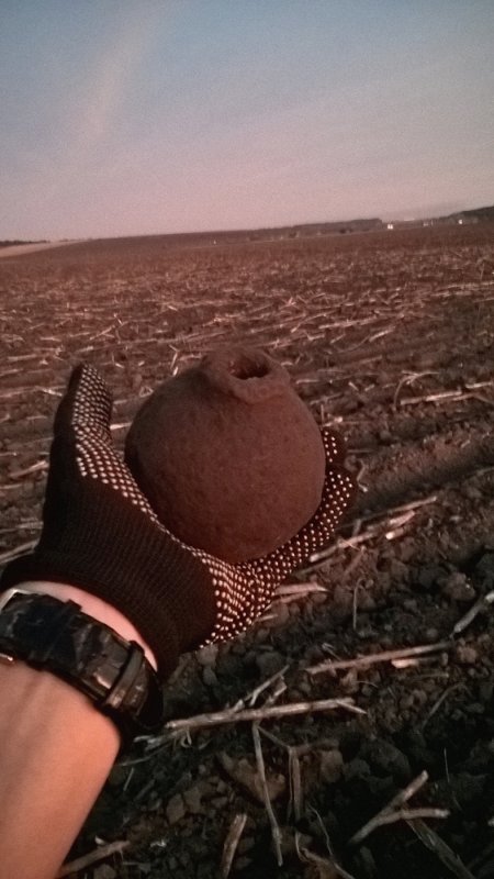 Sight_2018_10_14_185546_363_800