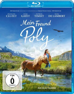 Poly (2020) .mkv FullHD 1080p AC3 iTA DTS AC3 FRE x264 - FHC