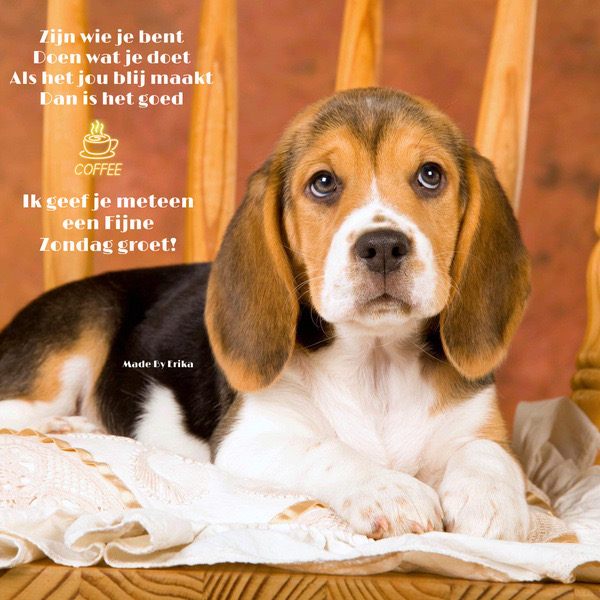 4316F567-4F6D-4C8E-B113-288BC7C16CA8