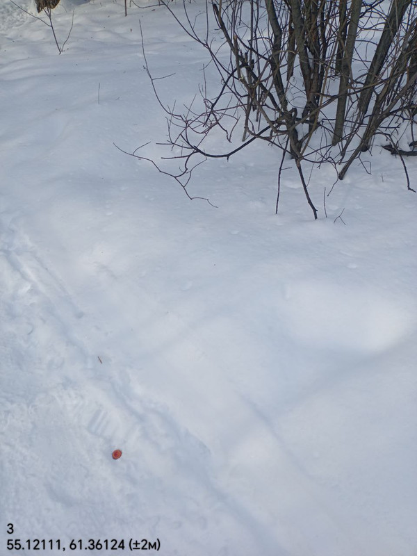 IMG 20260307 120709 143