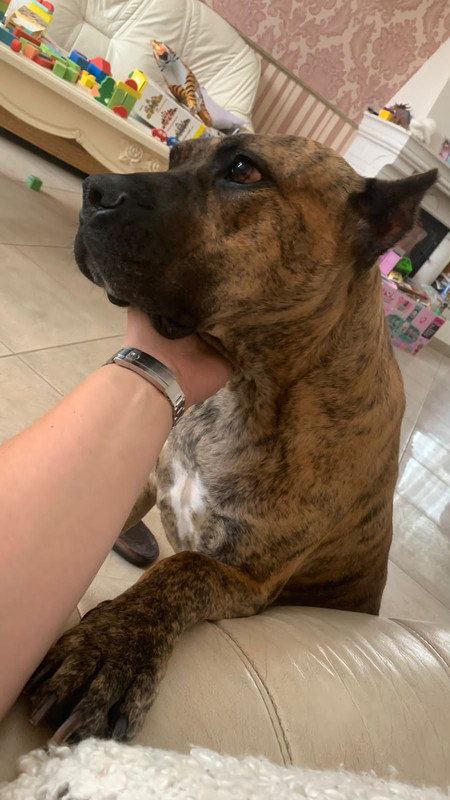 C4991FFC-76D6-4B04-ADF4-47EFFFCEAF38