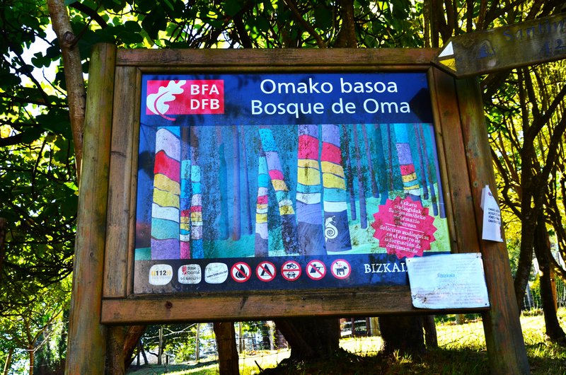 Vizcaya y sus pueblos-2011/2020 - Blogs de España - EL BOSQUE DE OMA-3-9-2020 (2)