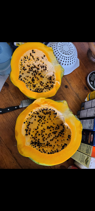 Screenshot_20200716-133815_Gallery