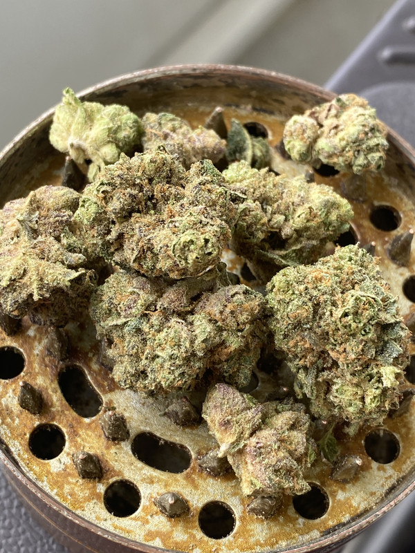 6169F44D-17C9-4506-8212-81D72A244754