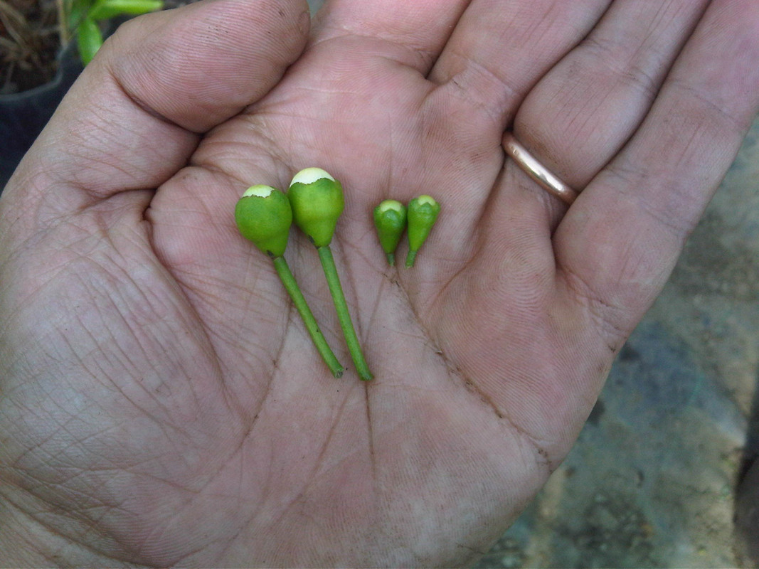 IMG00191-20130511-1710