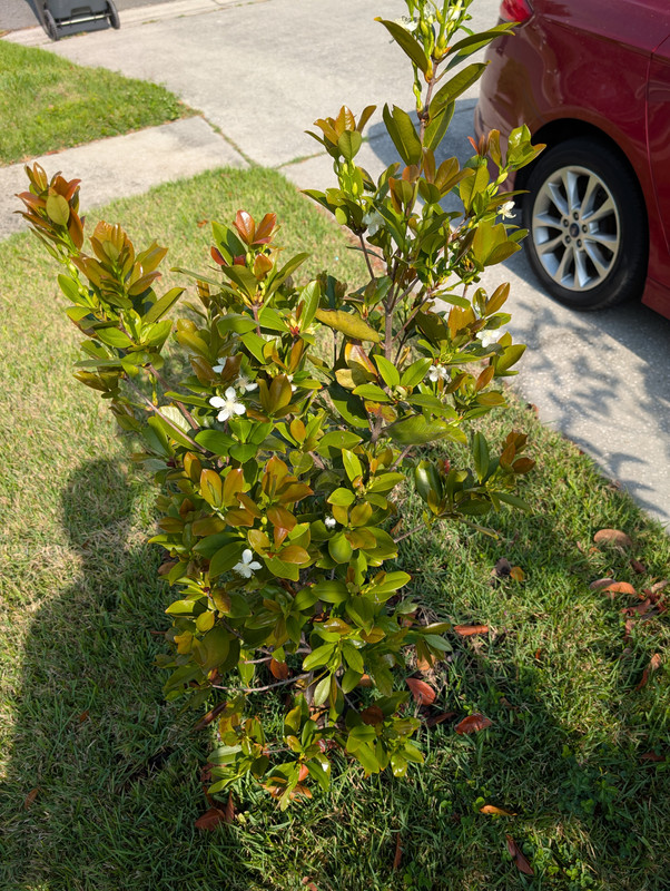 PXL_20250508_140828268