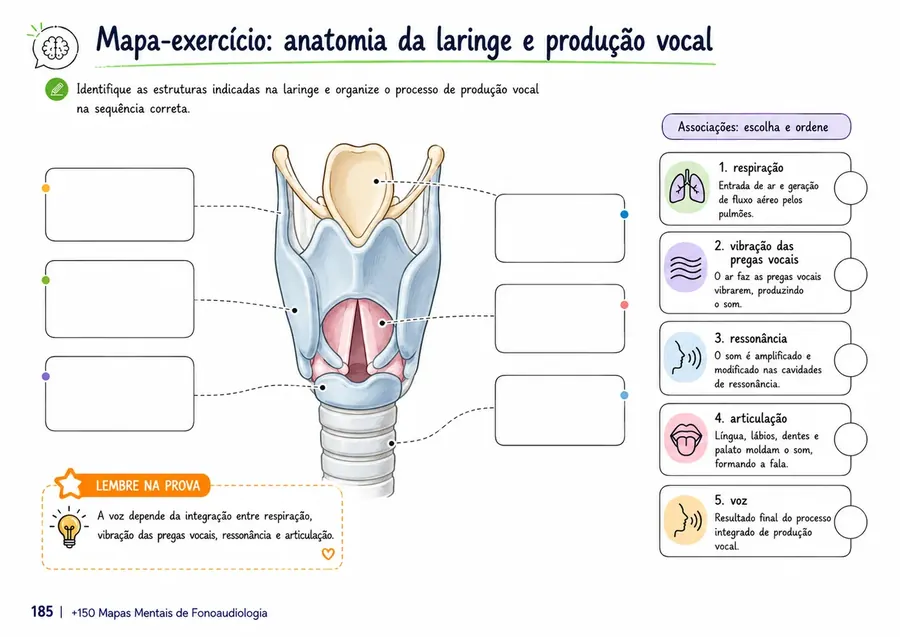 Exemplo de mapa mental de Fonoaudiologia do MapaFono
