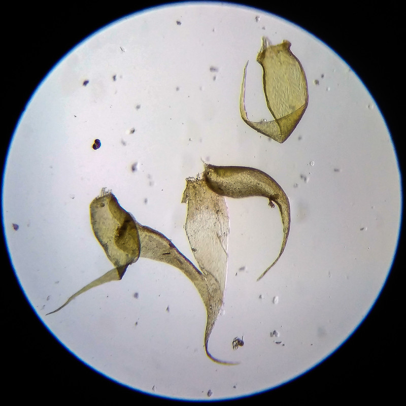 IMG 20250614 203713 HDR