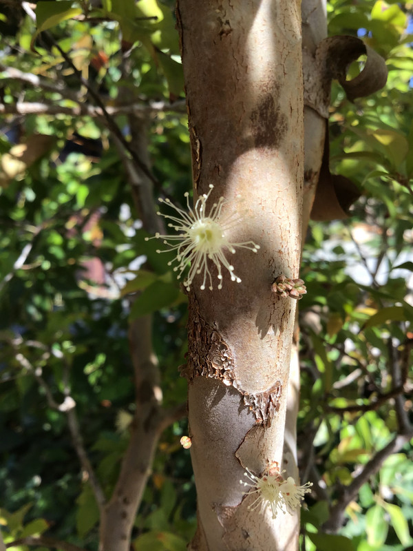 14FC1E3E-59FB-4F08-9366-5814FA399981