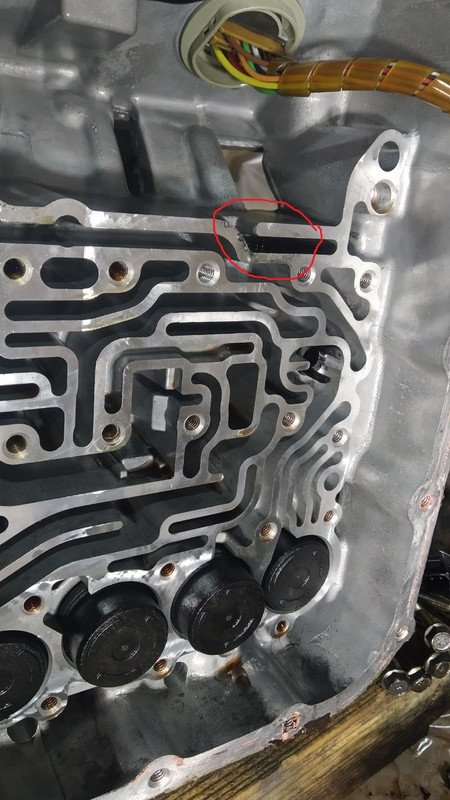 photo_8_2024-05-20_19-54-25