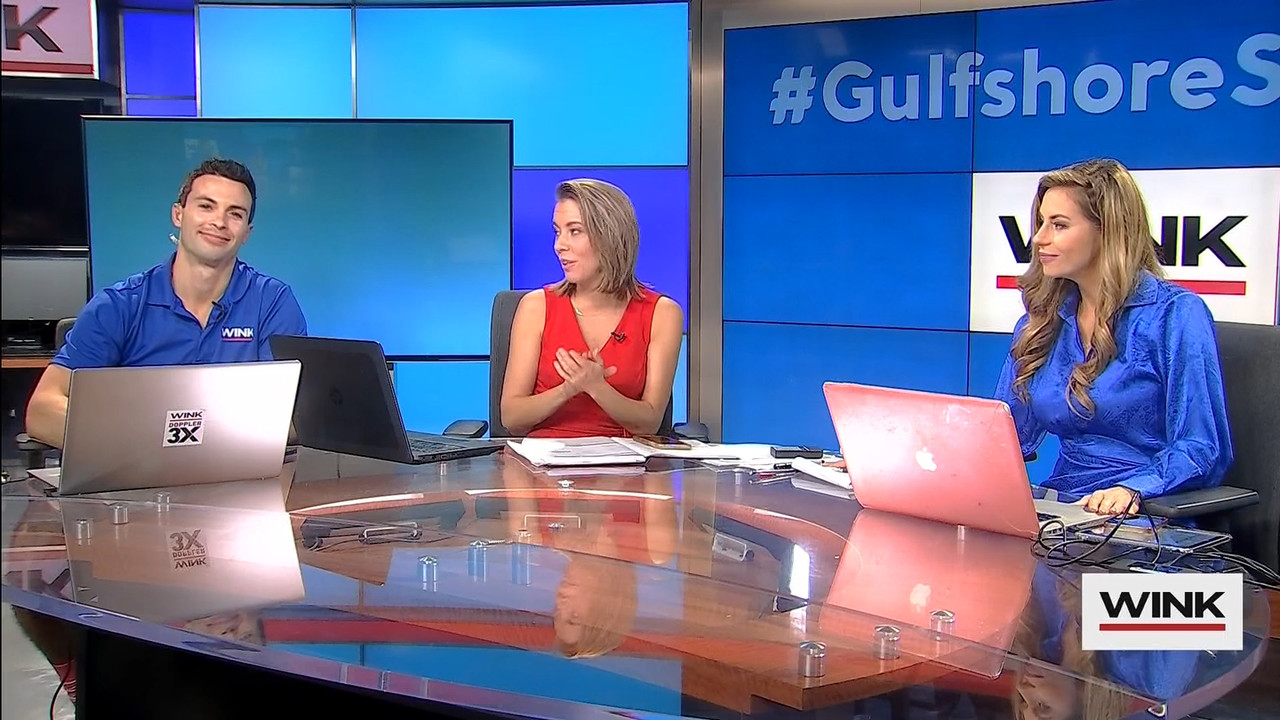 10.09 - 13.00.00 - WINK News at 8 00AM  ᴺᵉʷ..ts_snapshot_00.02.24.076
