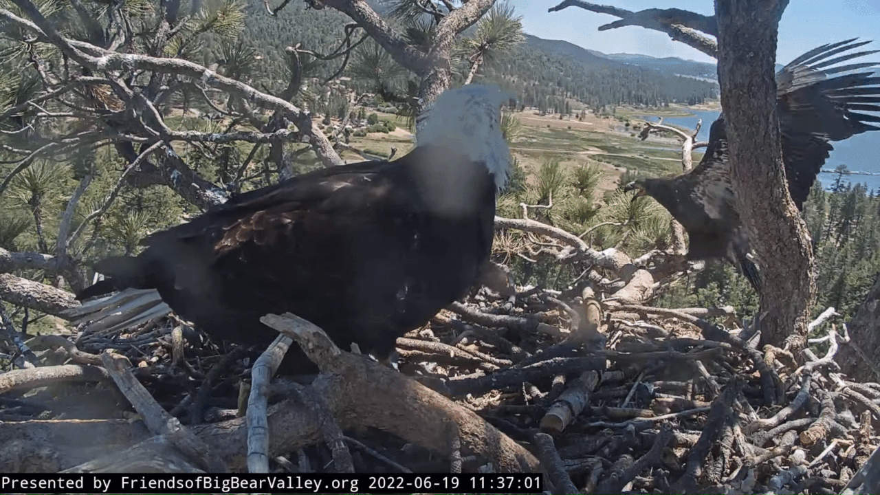 Webp.net-gifmaker (4)