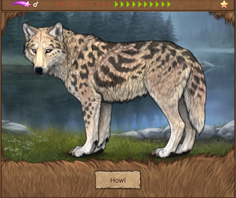 Chased Wolf Spotting Revamped Wolvden