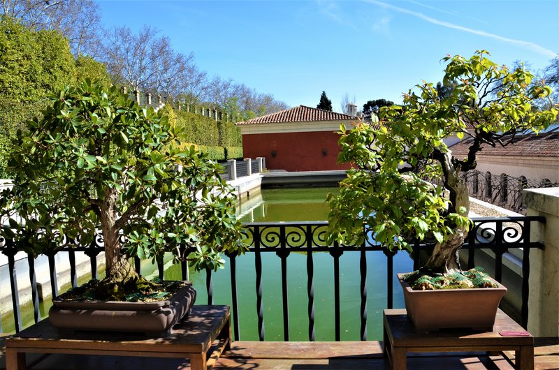 JARDIN BOTANICO-13-4-2013-MADRID - Paseando por España-1991/2017 (81)