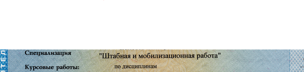 изображение_2025-03-11_143518599