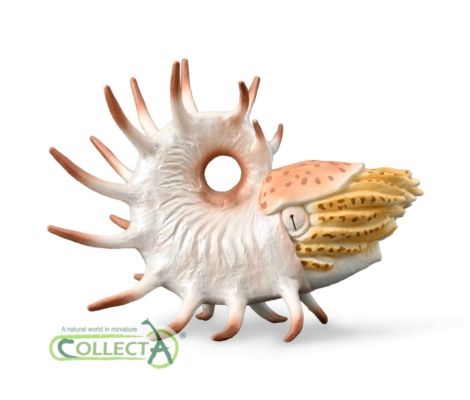 2022 Prehistoric Figure of the Year, time for your choices! - Maximum of 5 Collect-A-Cooperoceras