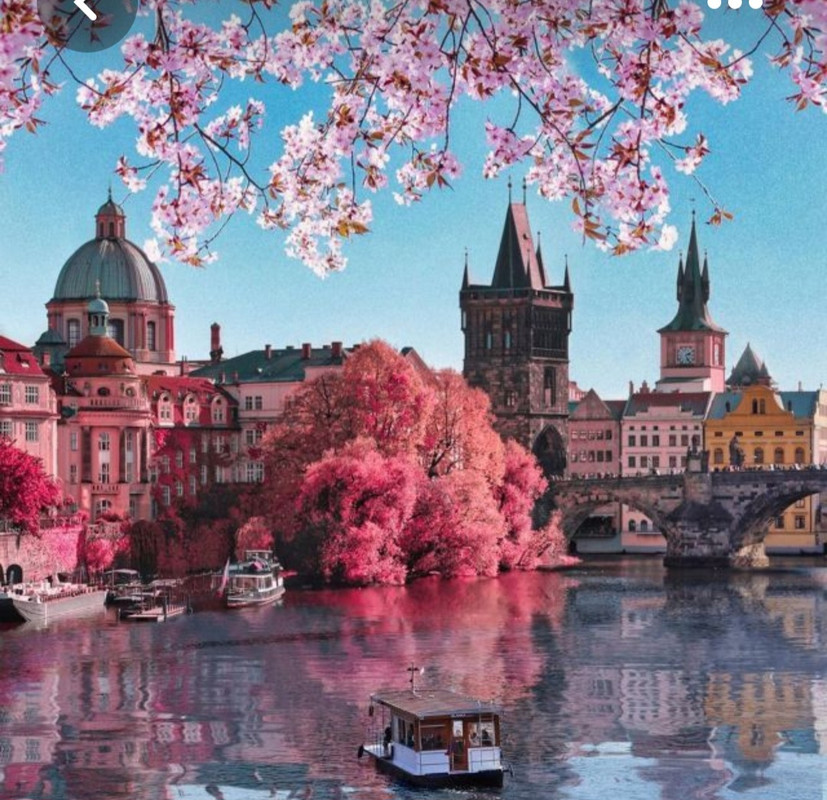 Screenshot_20230327_003719_Pinterest