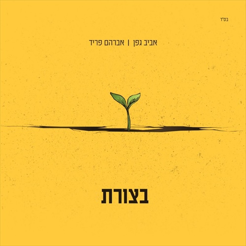 תמונה