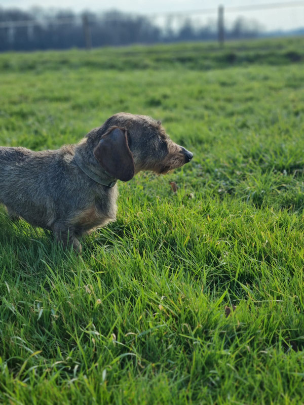 [Image: IMG-20230210-WA0003.jpg]