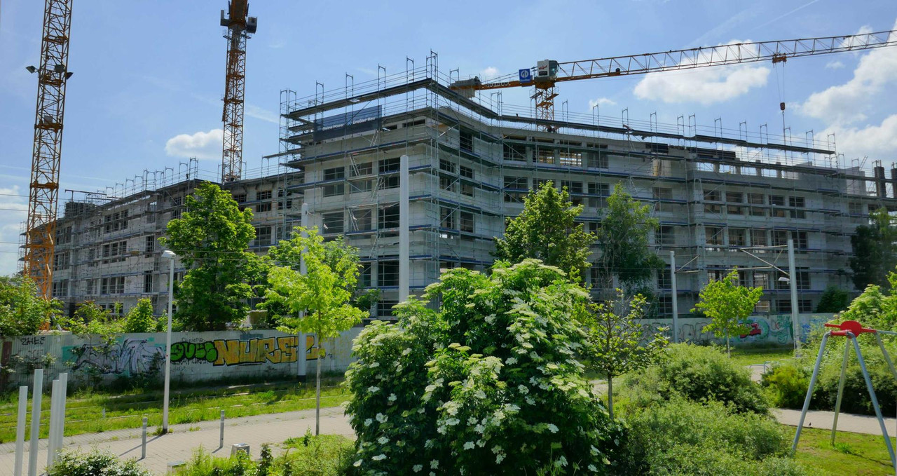 Bild: https://i.postimg.cc/JzSDdpKH/P1360451.jpg