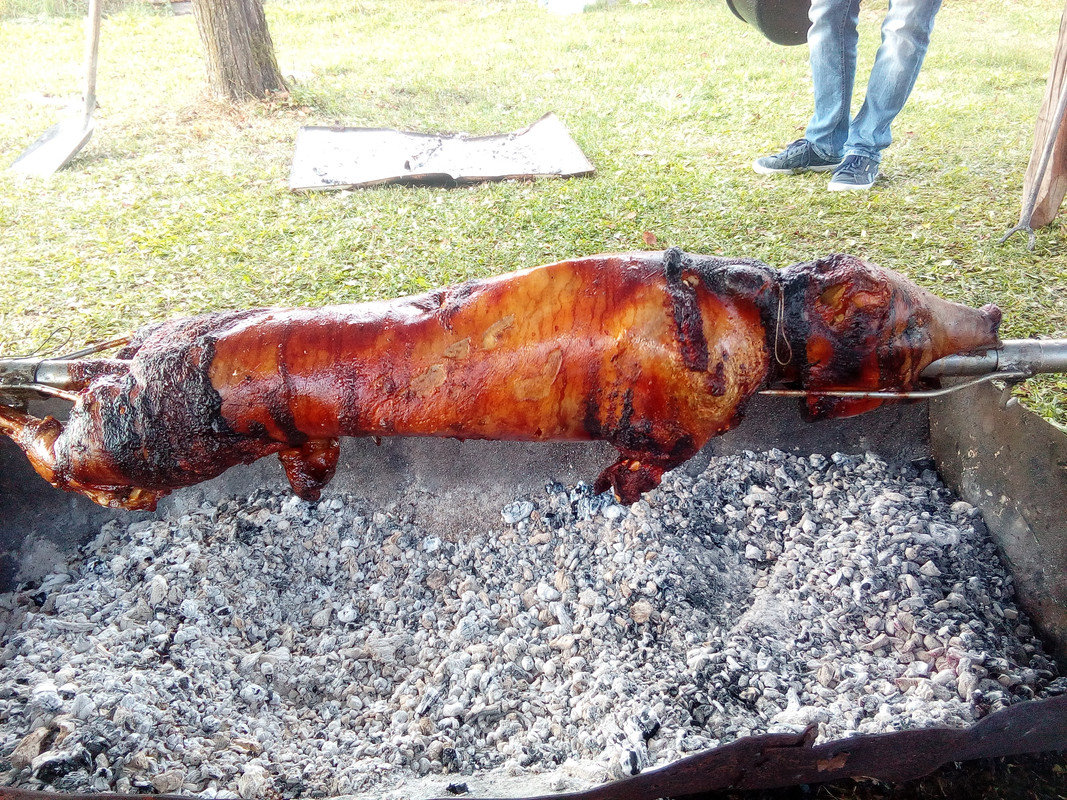 Slika