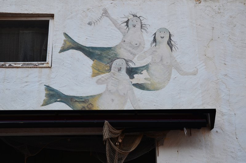 CALA SA TUNA Y SEA POOL-21-11-2017 - Gerona y sus pueblos-2016/2017 (21)