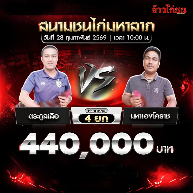 โปรแกรมไก่ชน สนามชนไก่มหาลาภ 28 กุมภาพันธ์ 2569 คู่ ตระกูลเสือ vs มหาเฮงโคราช เงินรางวัล 440,000 บาท