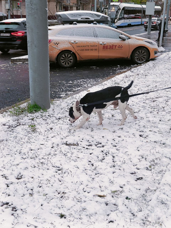 79E25223-70AB-49F0-B3CD-28CE73C9D3F6