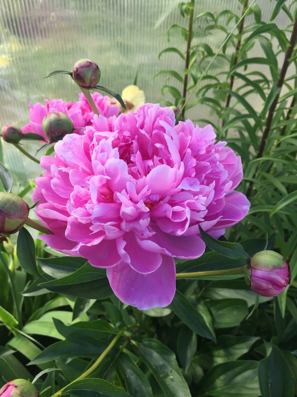 4638F30A-F4D5-4862-ABBA-5E330B5FAA16