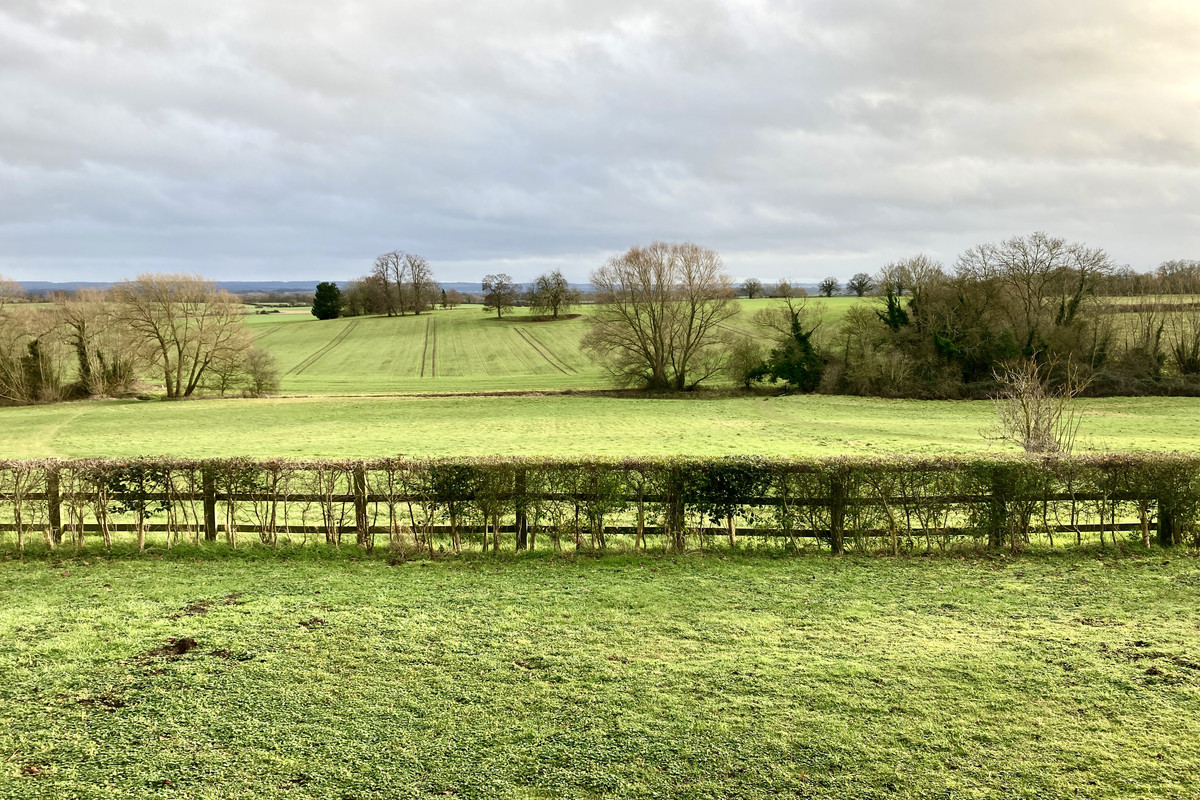 C7311B81-A096-4D35-A6D6-01867FFCA07C