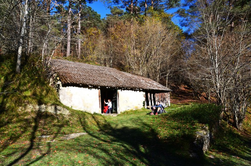 SELVA DE IRATI-14-11-2015-NAVARRA - Paseando por España-1991/2015-Parte-1 (55)