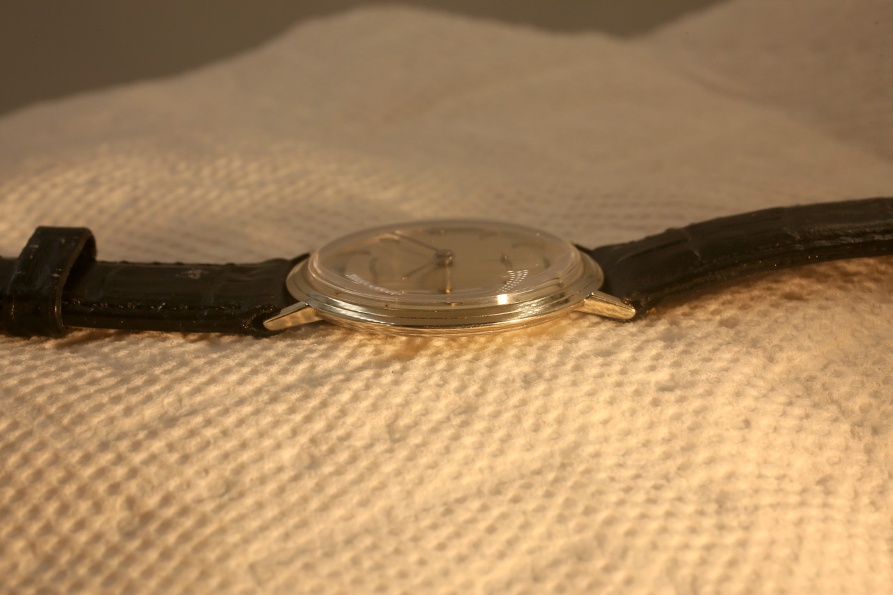 1J6A0486.jpg