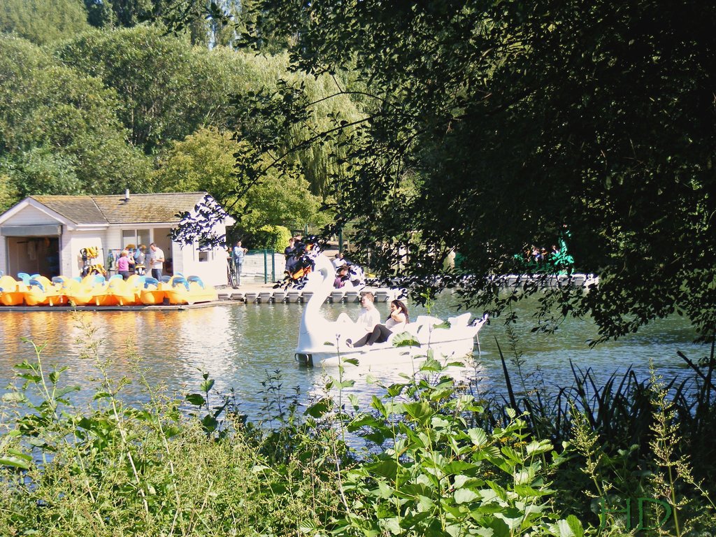 boating-S-lake-HD.jpg