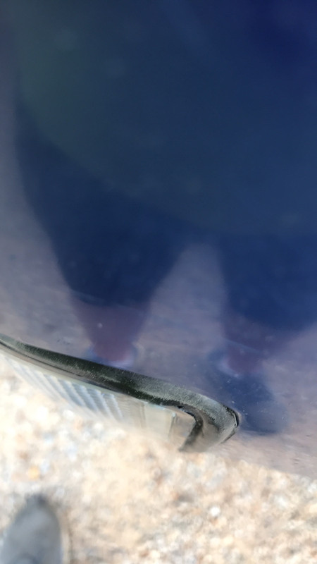 DA2FFF8D-7EE4-4AA3-8D94-FC97F8C3C34A