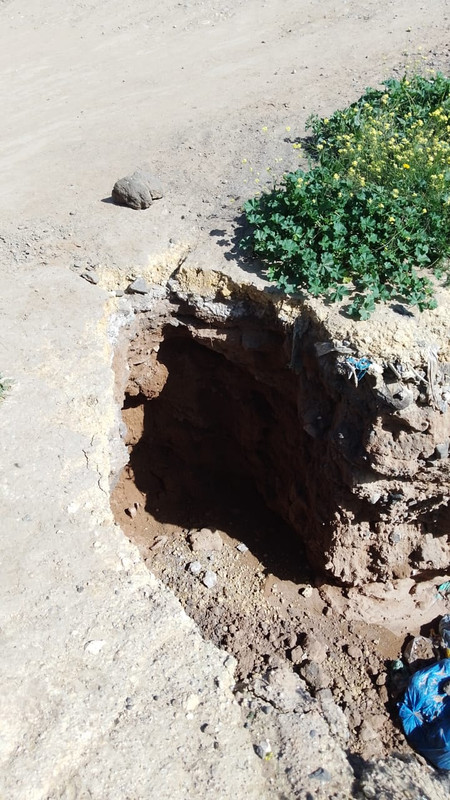 19363de1-636f-4705-a438-80289570b1b1